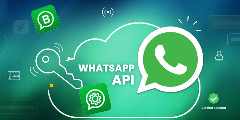 WhatsApp Messenger, WhatsApp Business App, And Business API